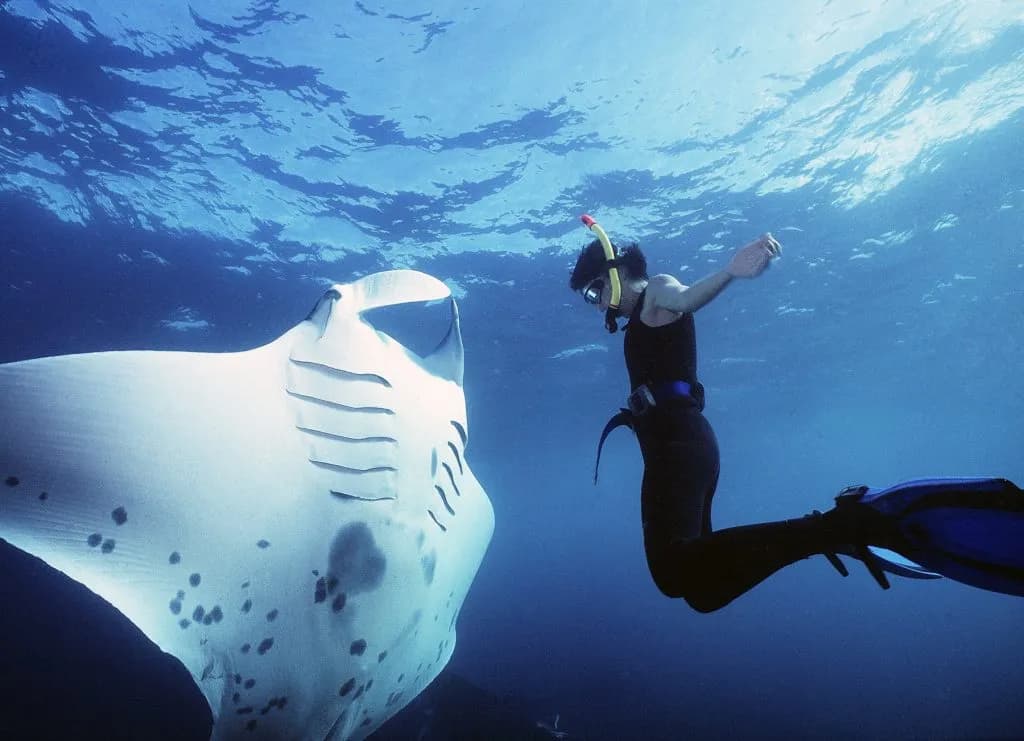 Nusa Penida West Tour & Snorkling at 4 Spot