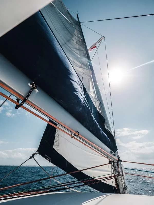 Luxury Catamaran Lagoon 380S Sailing Experience