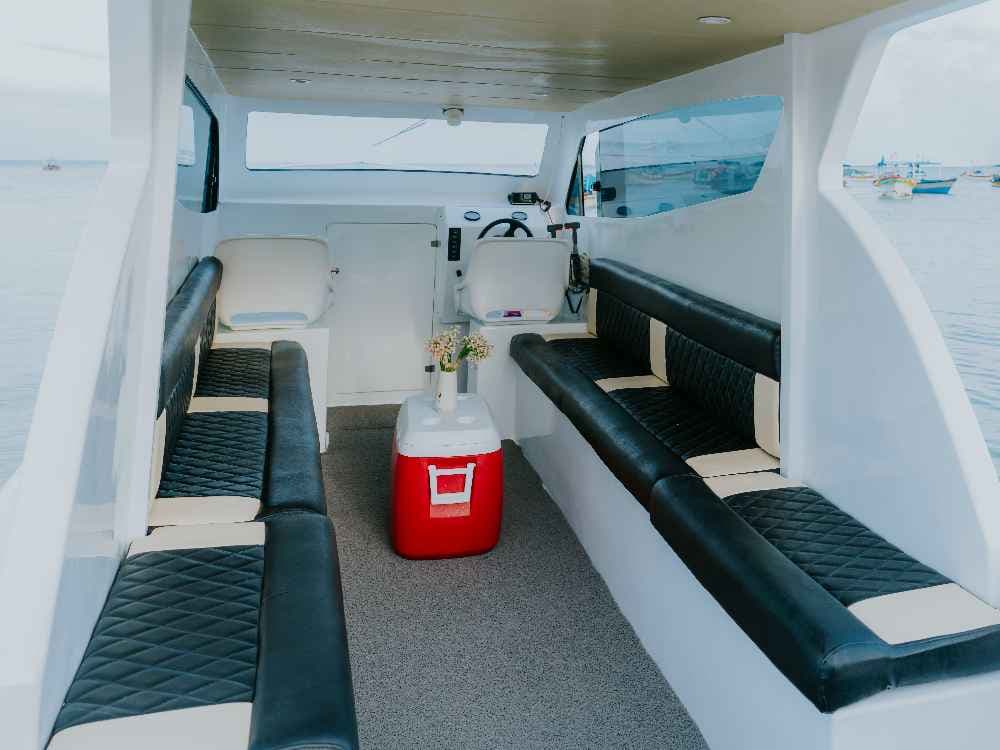 Panoramic Cruise with Accura 39