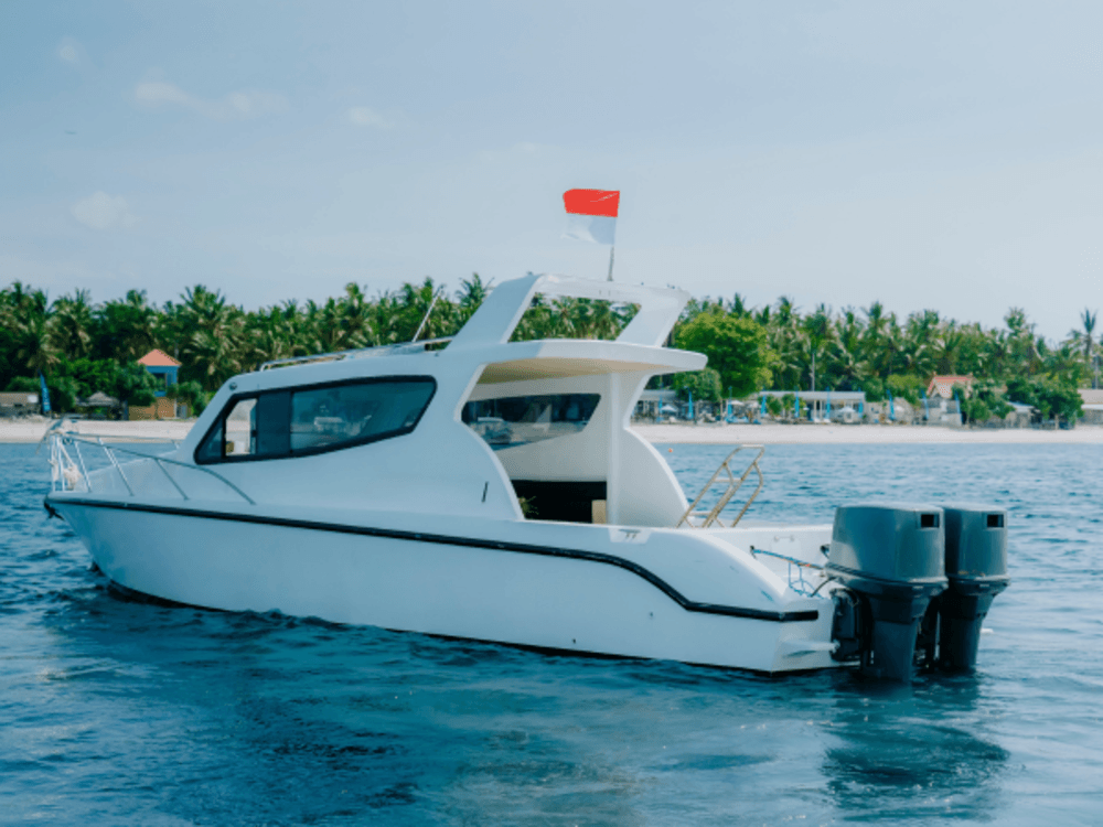 Panoramic Cruise with Accura 39